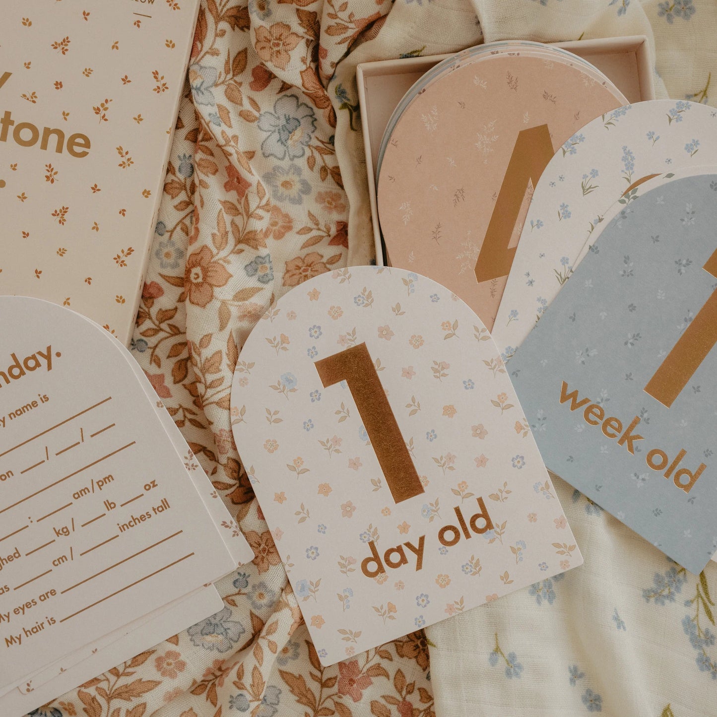 Baby Milestone Cards- Broderie PRESALE