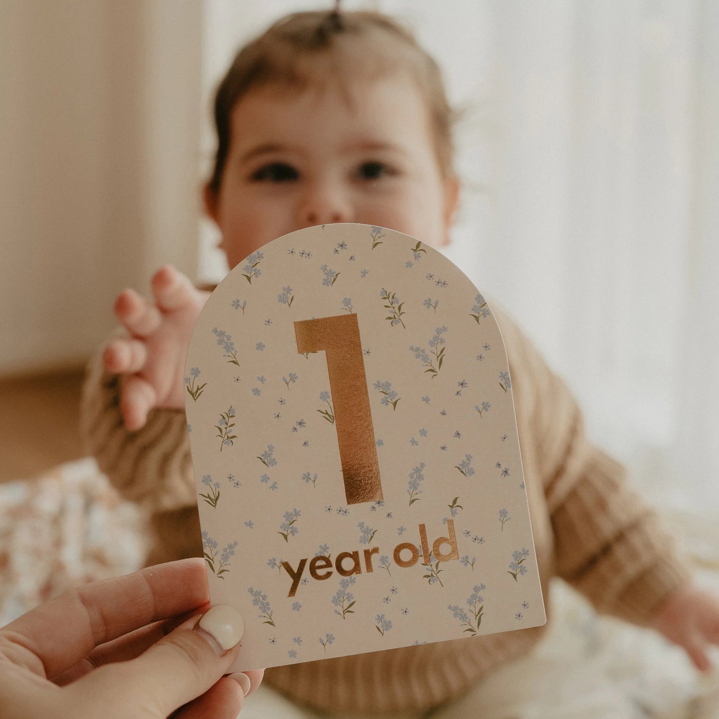 Baby Milestone Cards- Broderie PRESALE