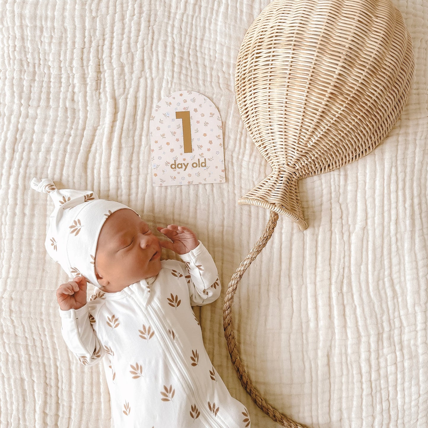 Baby Milestone Cards- Broderie PRESALE