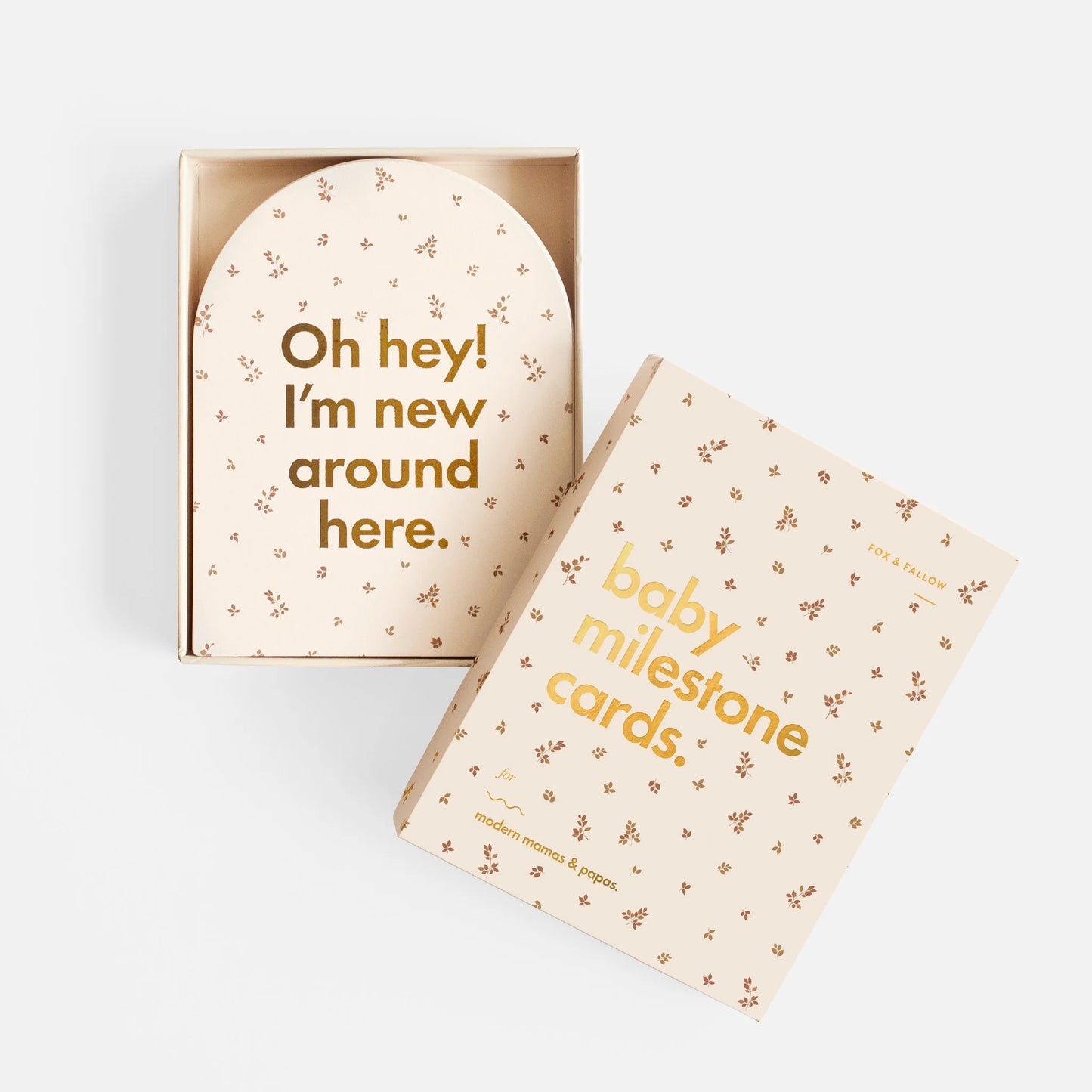 Baby Milestone Cards- Broderie PRESALE