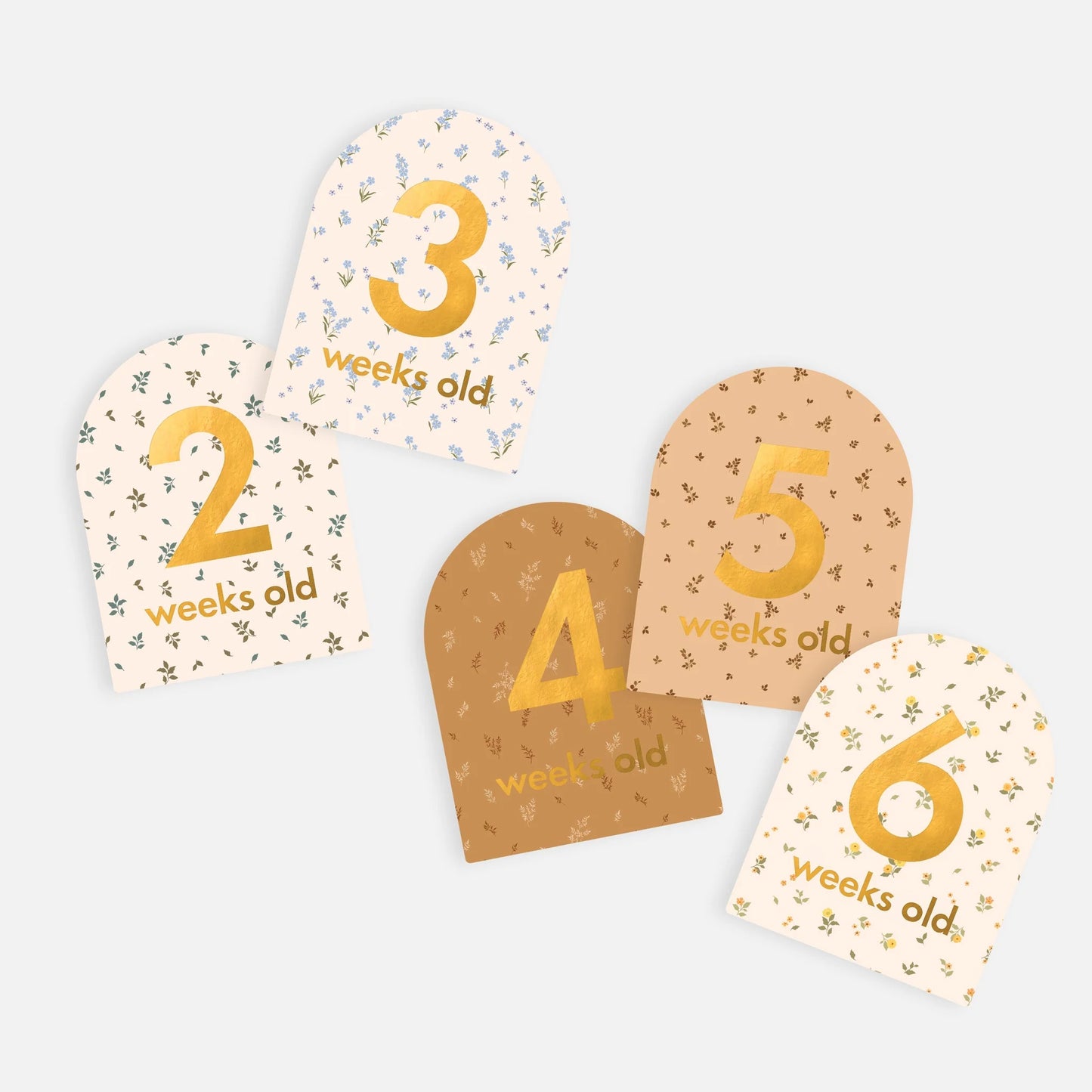 Baby Milestone Cards- Broderie PRESALE